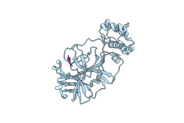 6XCH image