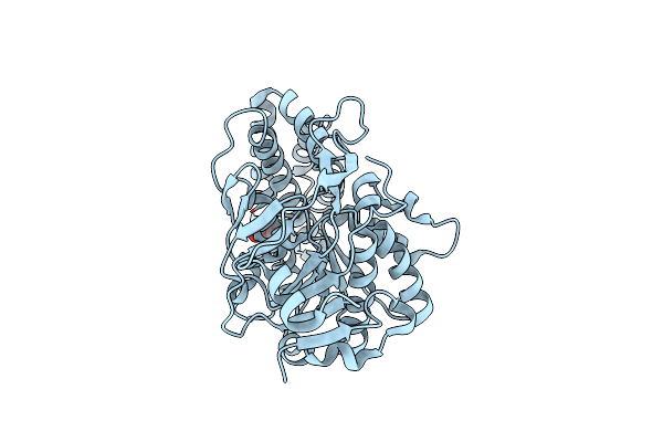 6XCQ image