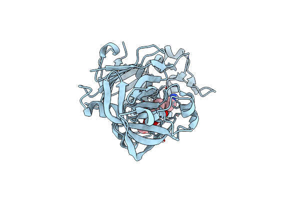 6XCT image