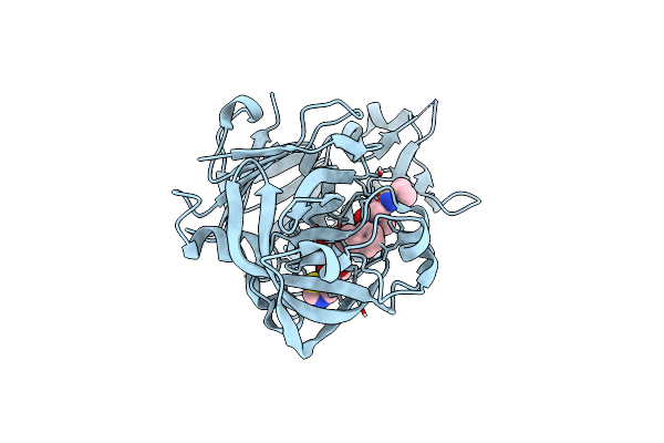 6XCY image