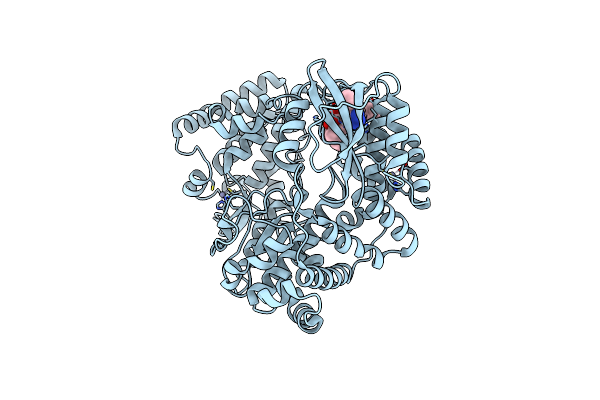 6XD1 image