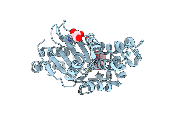 6XD7 image