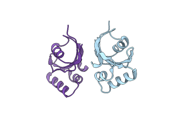 6XD8 image