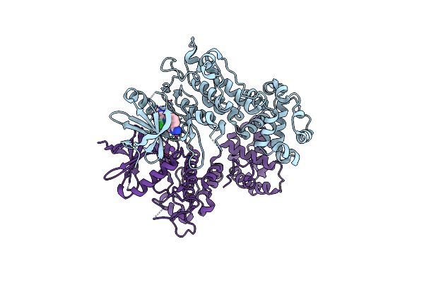 6XDF image