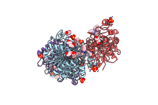 6XDM image