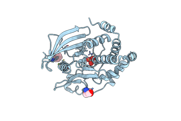 6XEF image