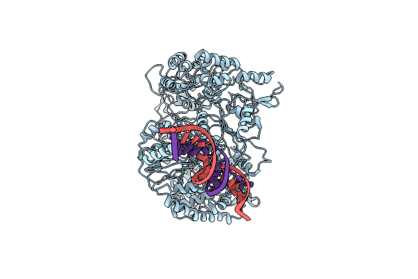 6XEO image