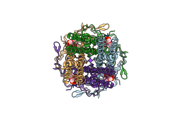 6XEU image