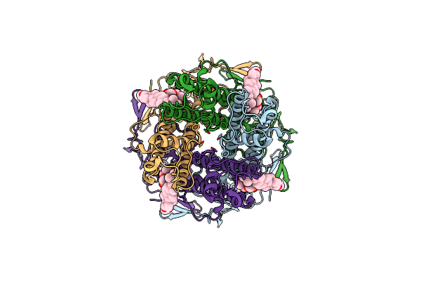 6XEV image