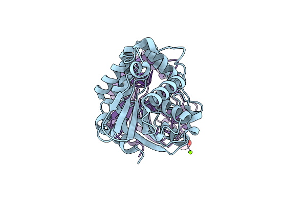 6XFO image