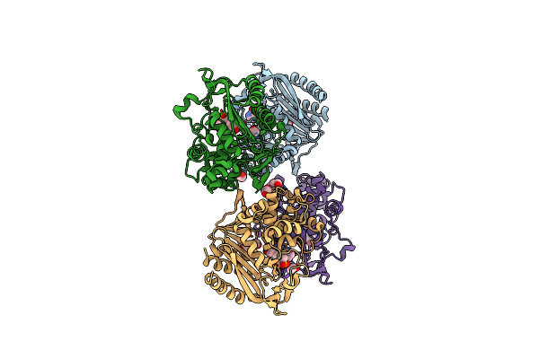 6XFS image