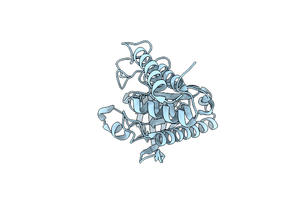 6XFT image