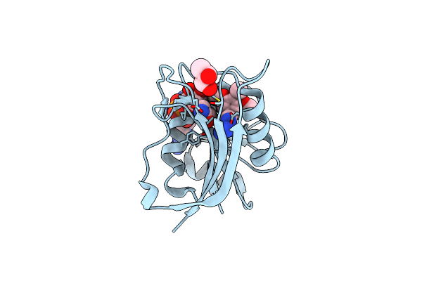 6XG4 image