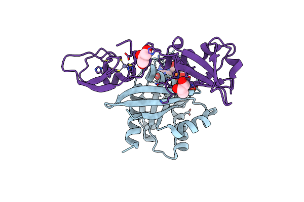 6XGV image