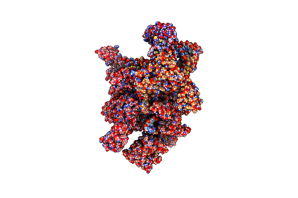 6XH8 image