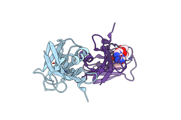 6XHD image