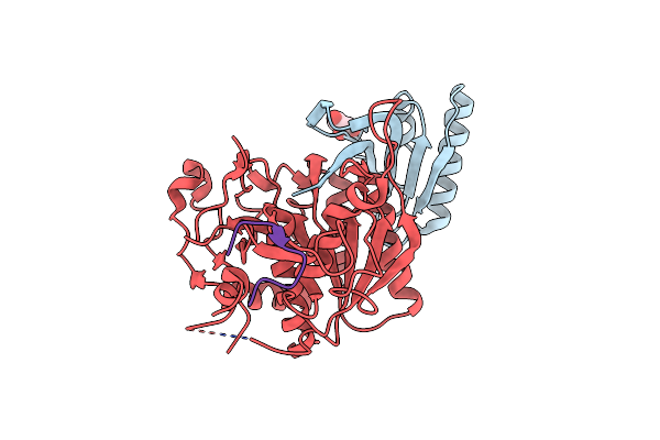 6XIB image