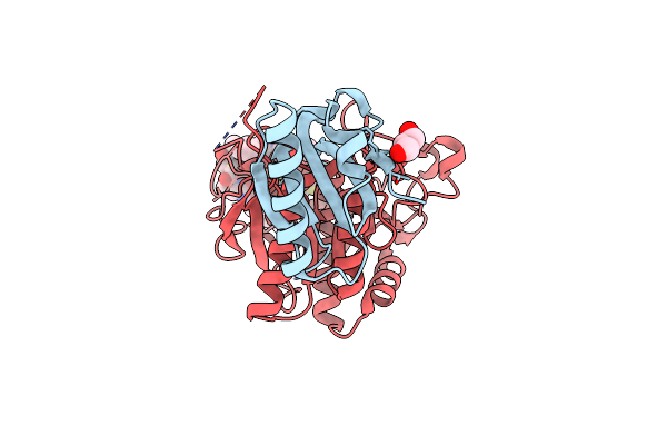 6XIF image