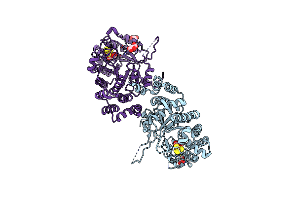 6XIG image