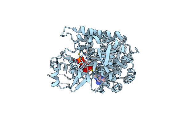 6XIO image