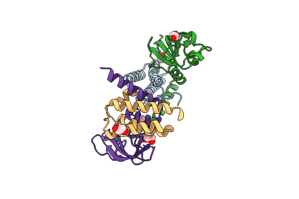 6XIP image