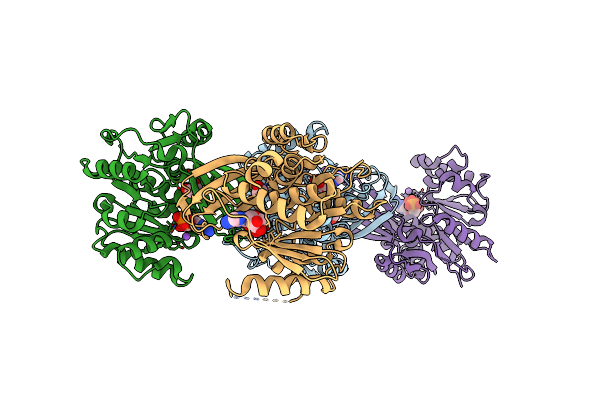 6XK2 image