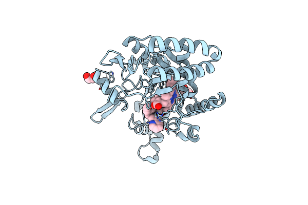 6XK6 image