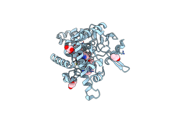 6XK8 image