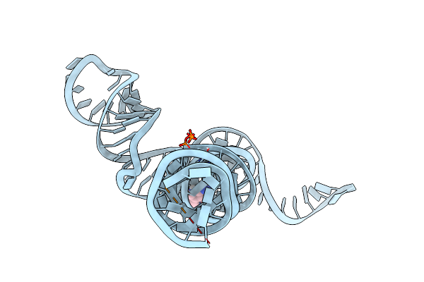 6XKO image
