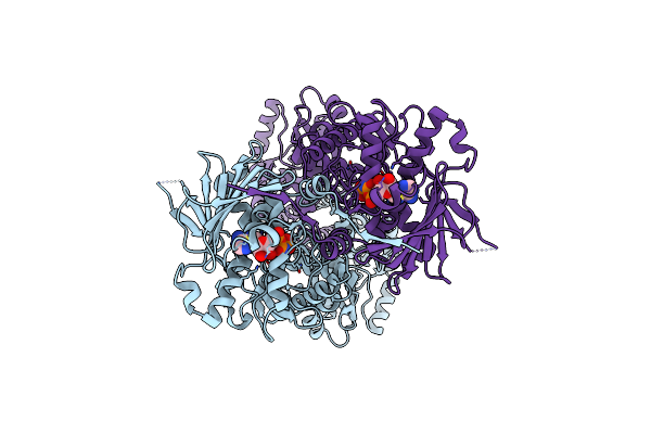 6XLC image