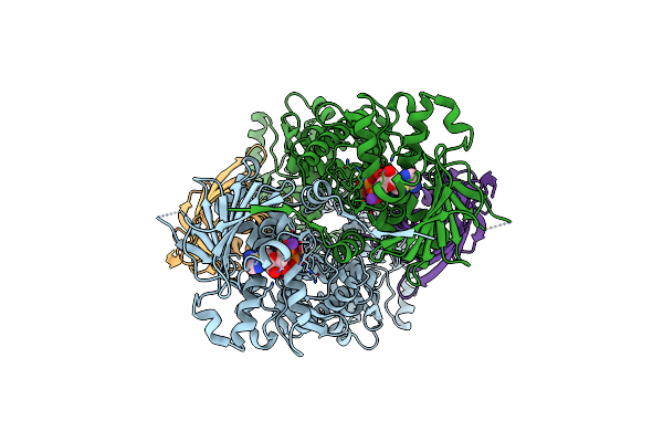 6XLE image