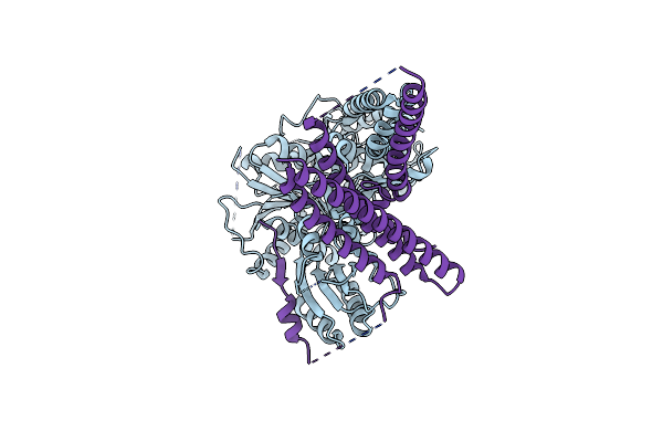6XMD image