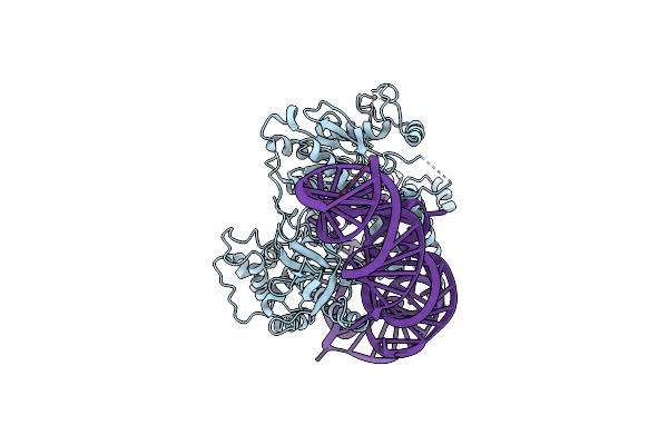 6XMF image