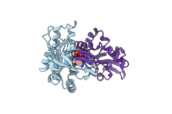 6XNN image