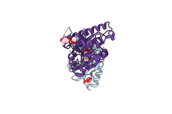 6XNP image