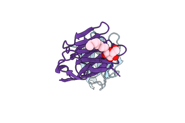 6XNT image