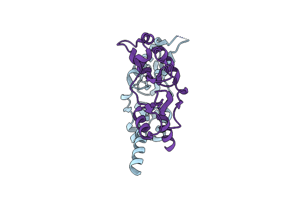 6XNU image