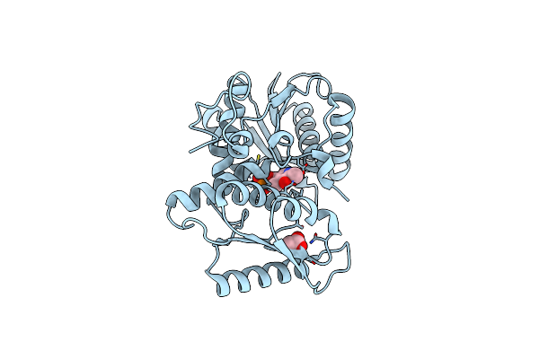6XO2 image