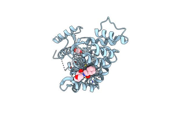 6XOM image