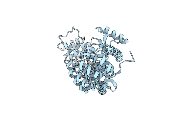 6XOP image