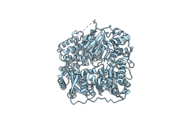 6XOS image