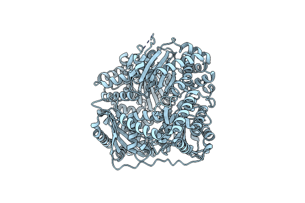 6XOT image
