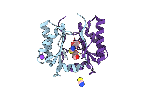 6XPH image