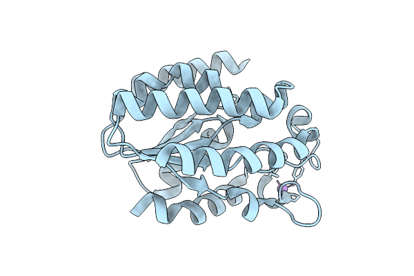 6XPM image