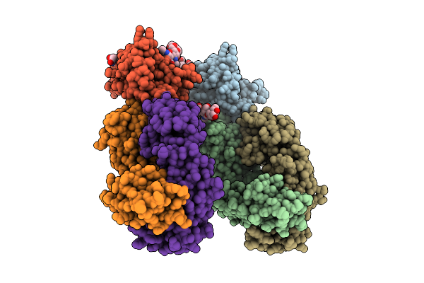 6XPZ image