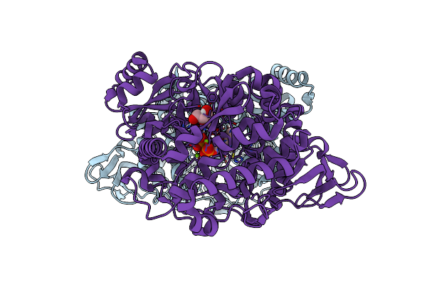 6XRC image