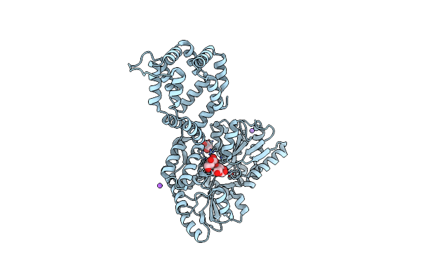 6XRX image