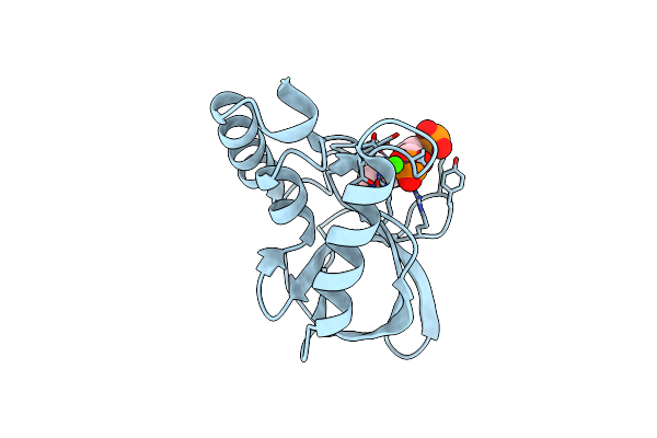 6XSI image