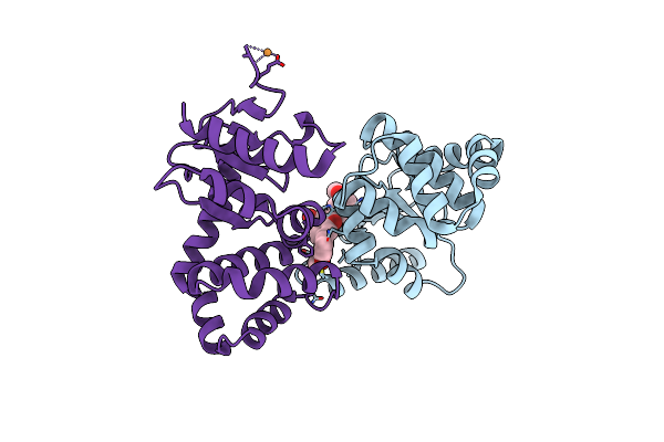 6XSP image