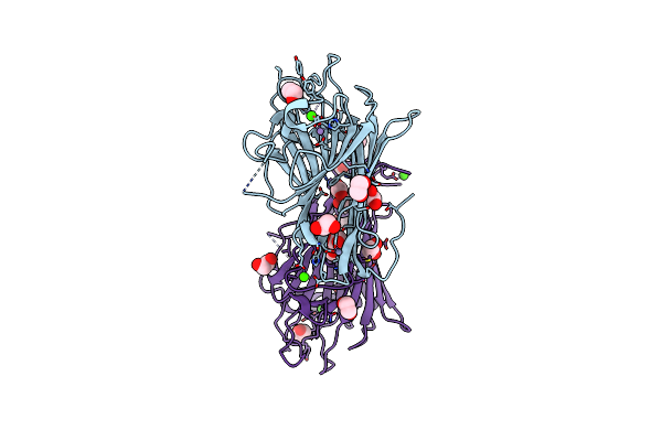 6XT6 image